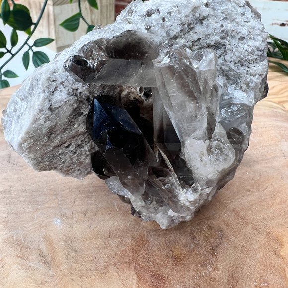 1 lb Double Sided Raw Smoky Quartz Crystal Cluster - A+ Collector Quality - Picture 10 of 13